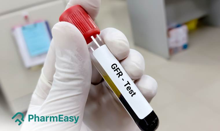 What Is Glomerular Filtration Rate Off Wiener Me