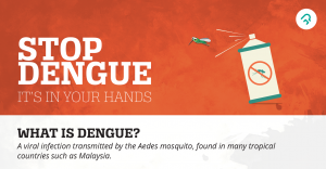 how to prevent dengue