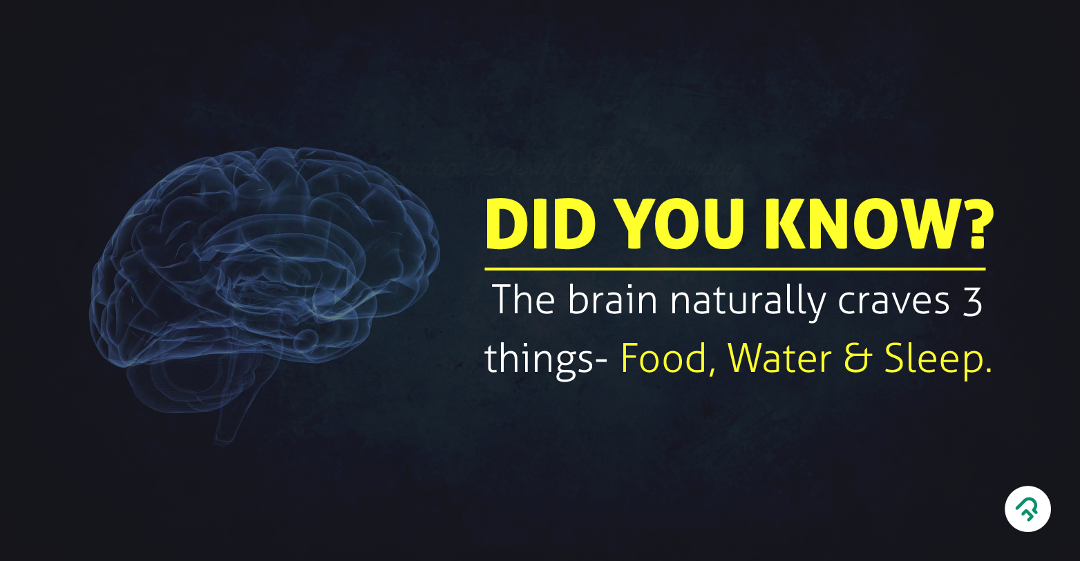 Fact related to brain. Best Foods for brain health