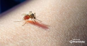 Tips To Keep Malaria At Bay This Monsoon! - PharmEasy