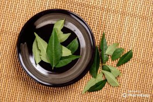 Curry leaves in a bowl