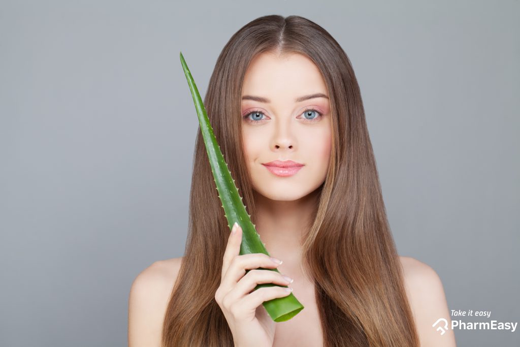 Multiple advantages for your hair are provided by aloe vera.