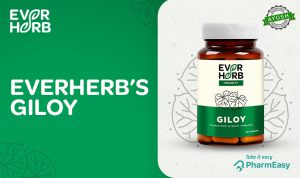EverHerb Giloy Capsules - Boost Immunity And Say Goodbye To Diseases! - PharmEasy