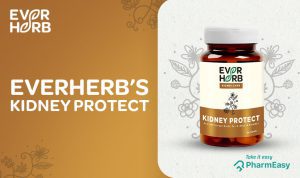 EverHerb Kidney Protect Capsules - A Gift Of Health For Your Kidneys! - PharmEasy