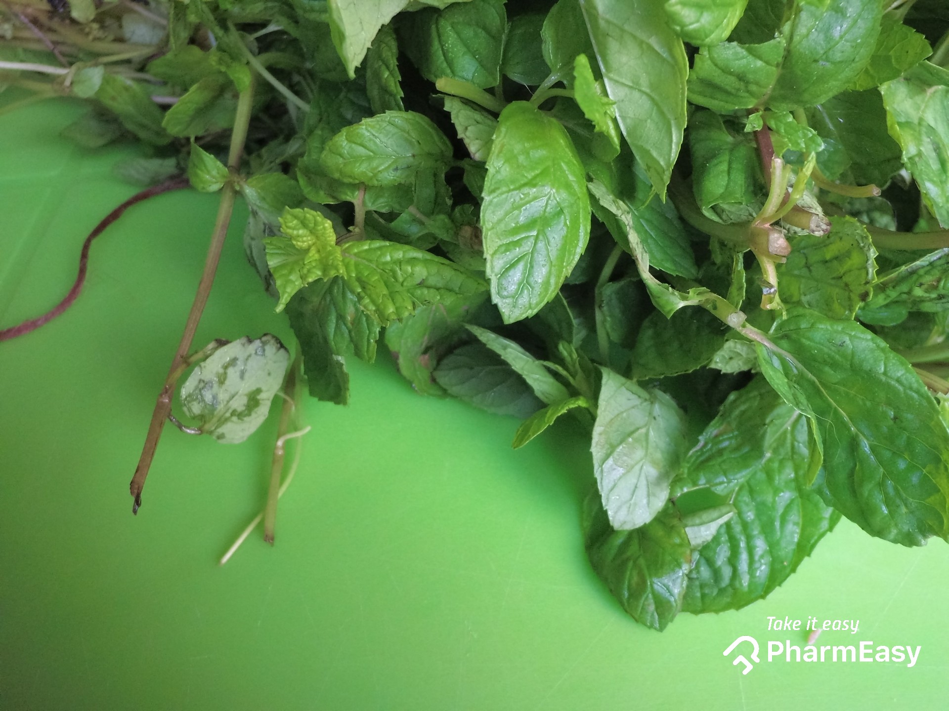 12 Health Benefits of Mint Leaves That You Should Know! - PharmEasy Blog