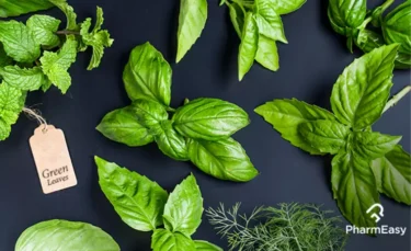 super healthy leaves