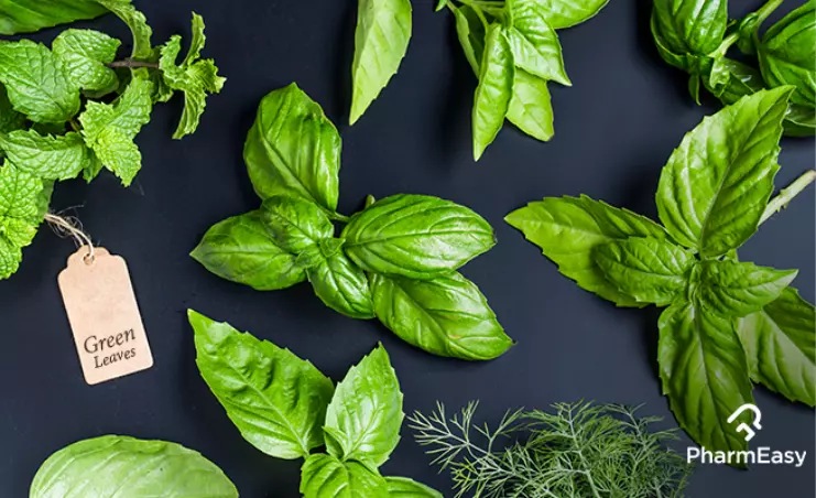 super healthy leaves