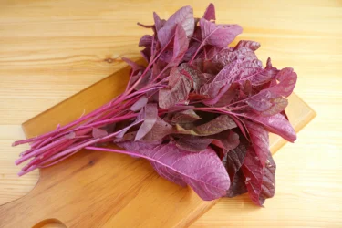 red amaranth