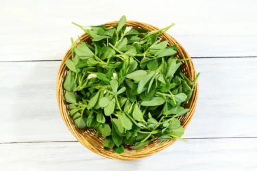 fenugreek 