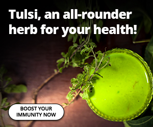 Tulsi benefits 