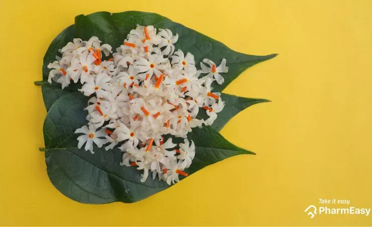 parijat leaves and flowers