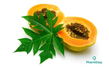 papaya leaf benefits