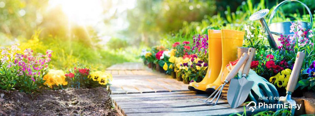 11 Unbelievable Benefits Of Gardening - PharmEasy Blog