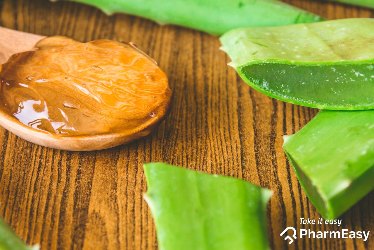 What is Aloe Vera Benefits and Properties? How to use it?
