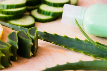 aloe vera