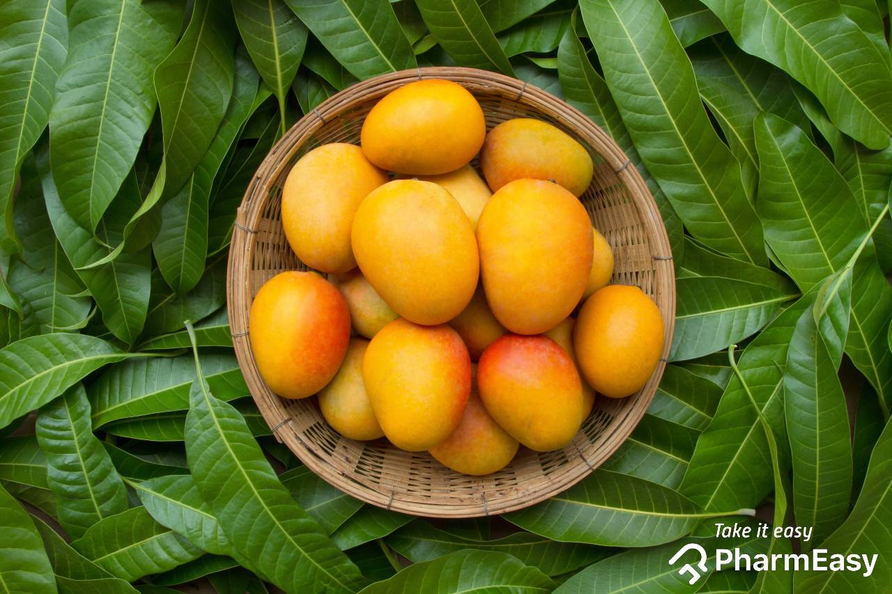 Mango - everything you need to know about it!