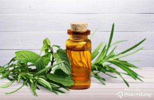 tea tree oil uses, benefits and side effects