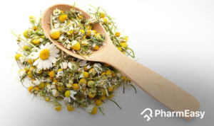 Chamomile flower with white petals and yellow center