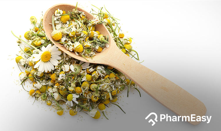 Chamomile-Uses, Benefits, Side Effects & More! - PharmEasy Blog