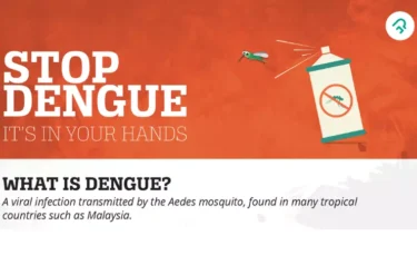 how to prevent dengue