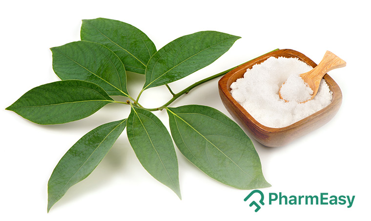 Camphor leaves and powder