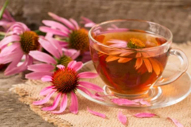 echinacea tea
