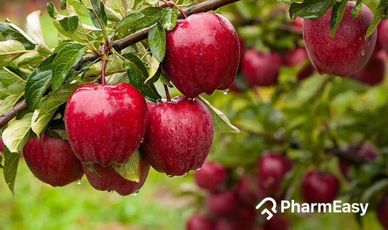 Apple: Uses, Benefits, Side Effects, and More! - PharmEasy Blog