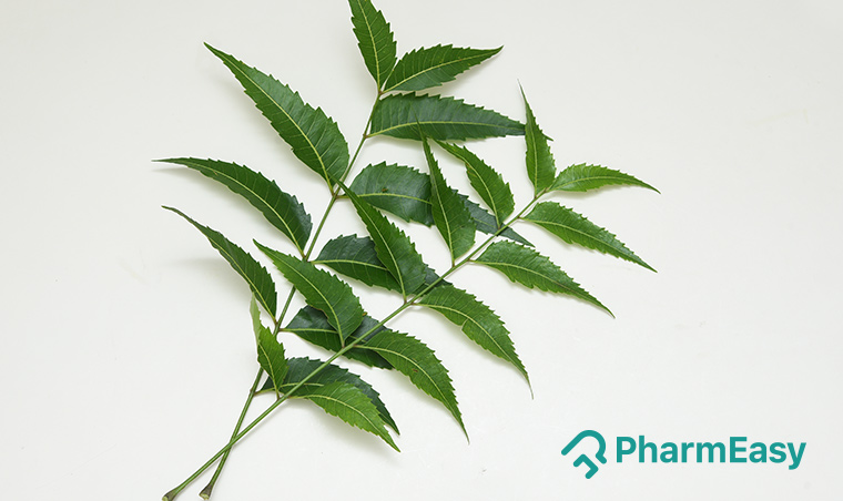 Neem: Uses, Benefits, Side Effects, and more! - PharmEasy Blog