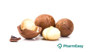 macadamia nut benefits