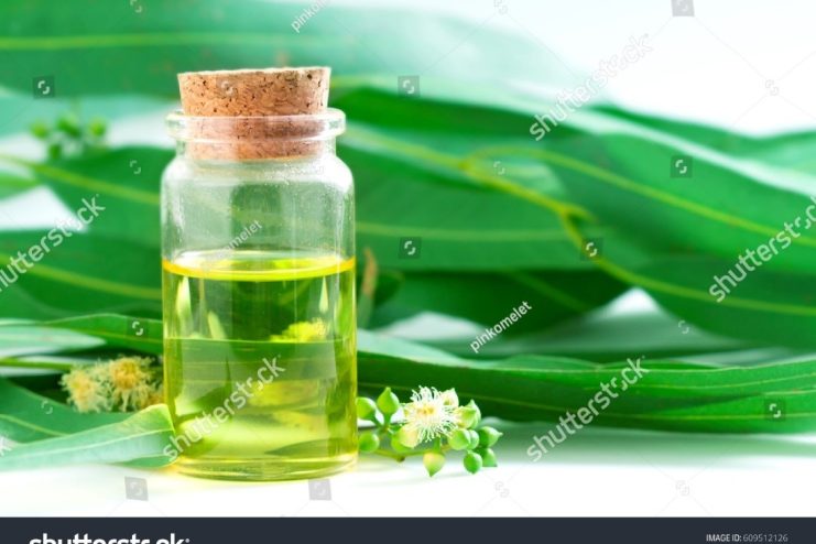 Eucalyptus Oil: Uses, Benefits, Side effects By Dr. Smita Barode