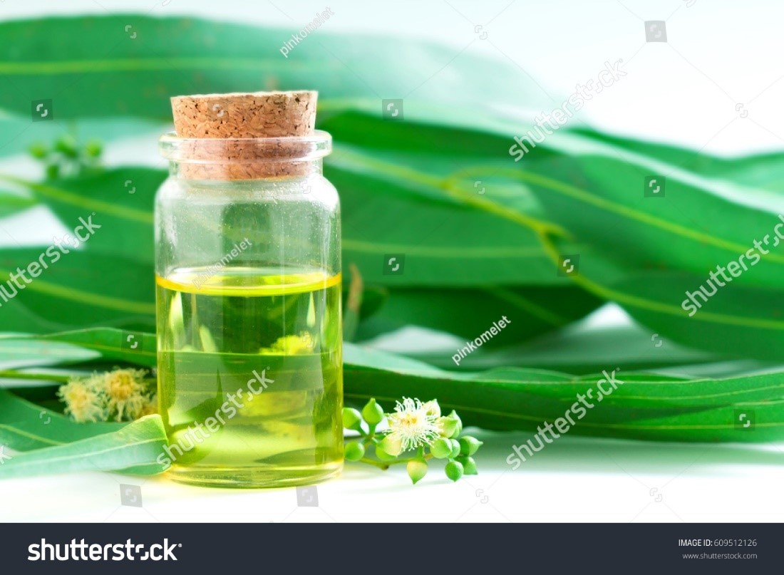 Indus Valley Virgin Eucalyptus Essential Oil For Skin CareHair Care 15 Ml