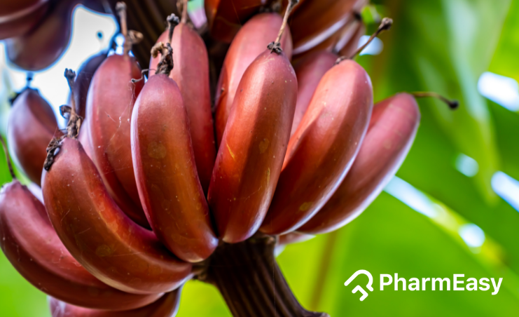 Klappe chant Sydamerika Red Bananas: Uses, Benefits, Side Effects and More By Dr. Smita Barode -  PharmEasy Blog