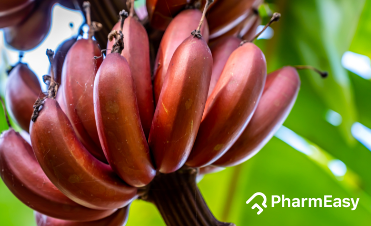 Red Bananas: Uses, Benefits, Side Effects and More By Dr. Smita Barode -  PharmEasy Blog