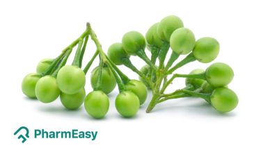 benefits of turkey berry