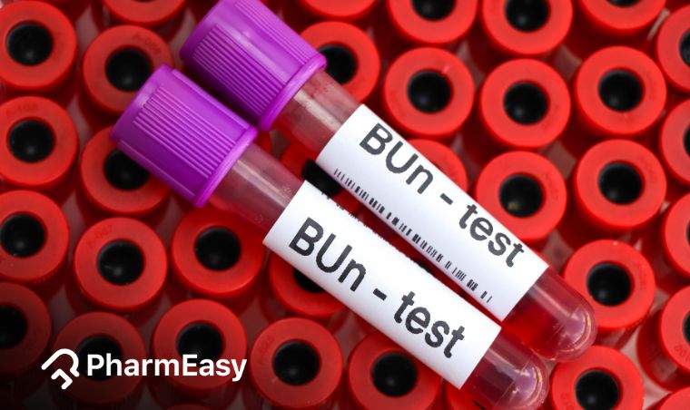 खून यूरिया नाइट्रोजन टेस्ट (BUN Test): क्या है, नॉर्मल रेंज, खर्च, कब ...