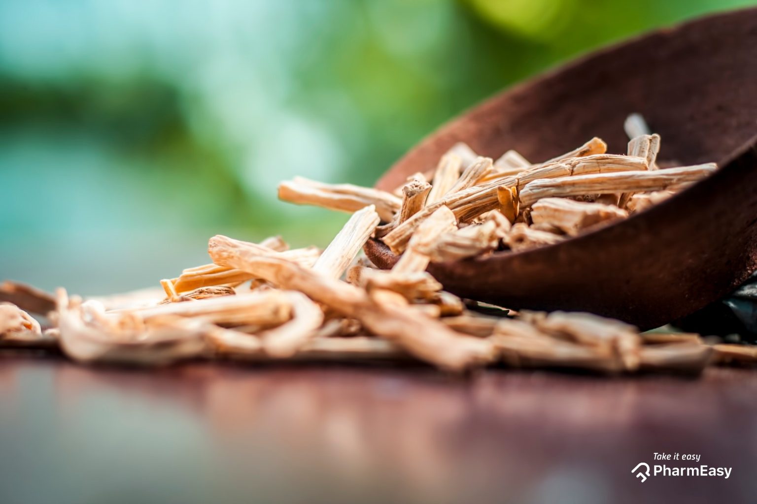 शतावरी (Asparagus in Hindi) उपयोग, फायदे, न्यूट्रिशनल वैल्यू