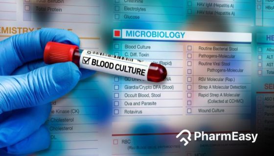 ब्लड कल्चर परीक्षण