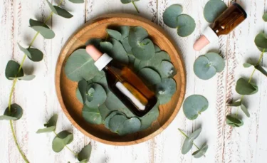 Eucalyptus Oil 