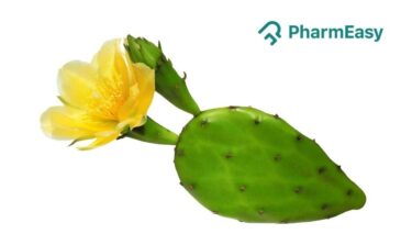 benefits of prickly pear cactus