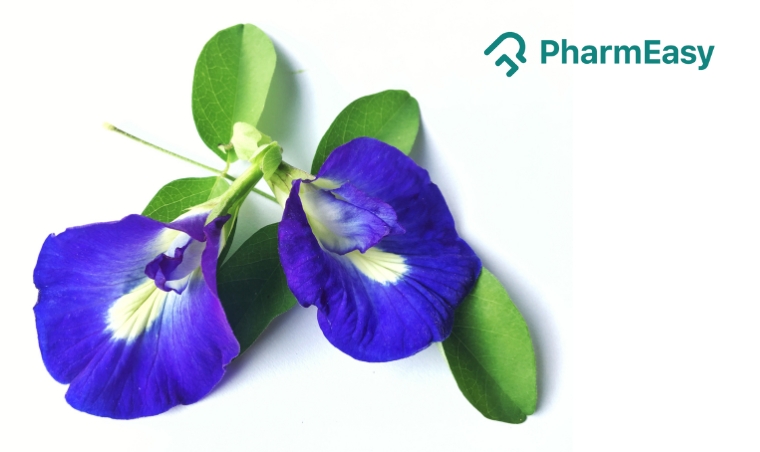 Butterfly Pea Flower: Uses, Benefits, Side Effects & More! 