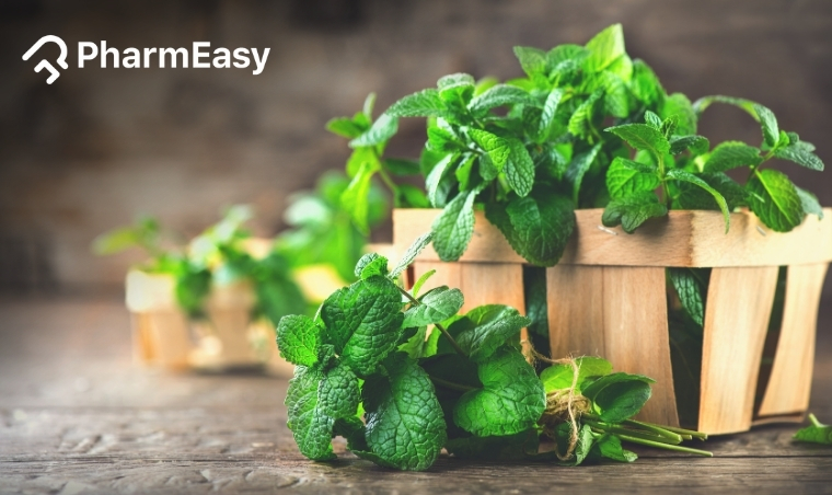 Spearmint Tea Benefits: Uses, Benefits, Side Effects & More!