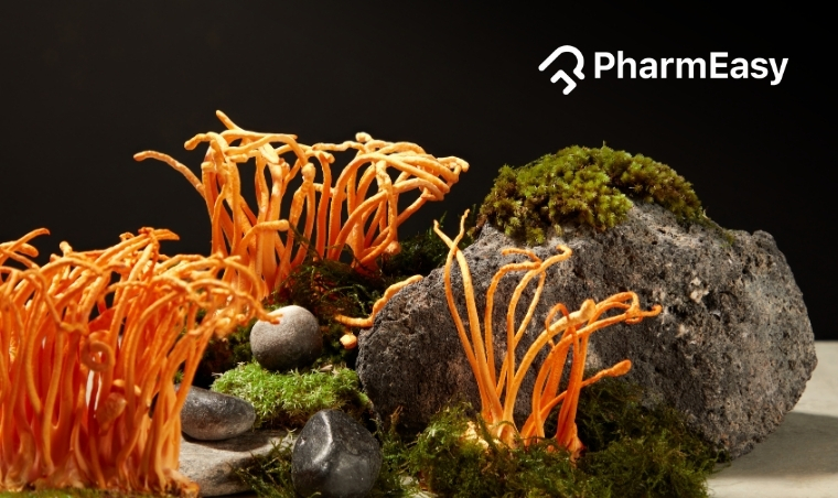Cordyceps Benefits: A Deep Dive into Research-Backed Advantages