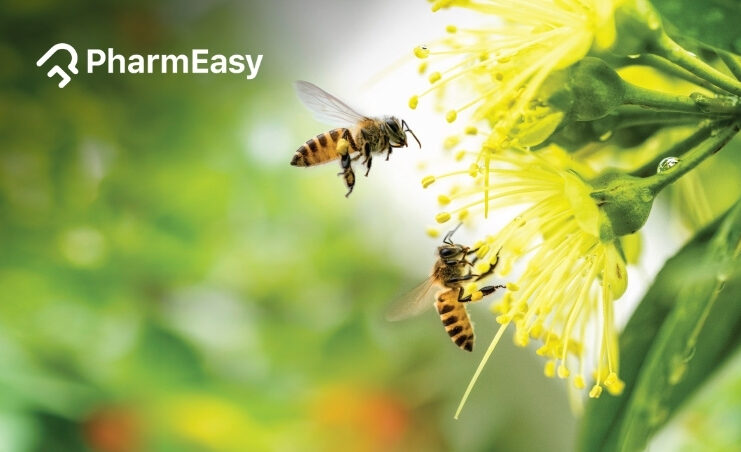 bee pollen benefits