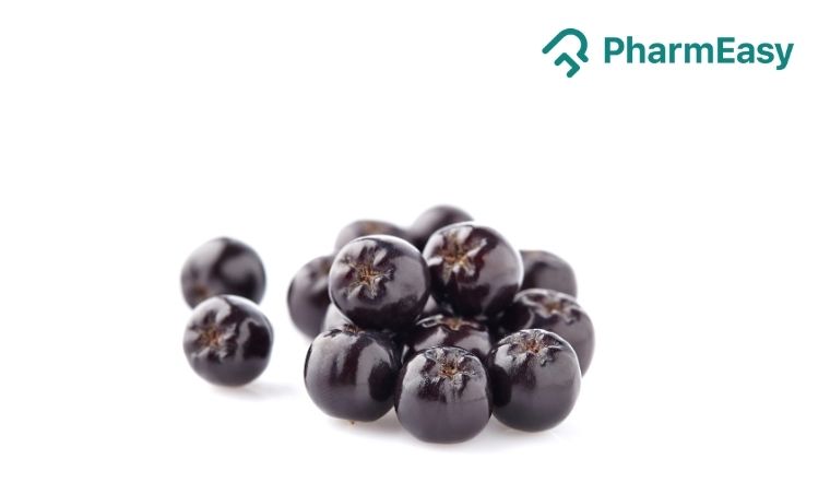 Aronia Berry: Exploring The Research-Based Health Benefits