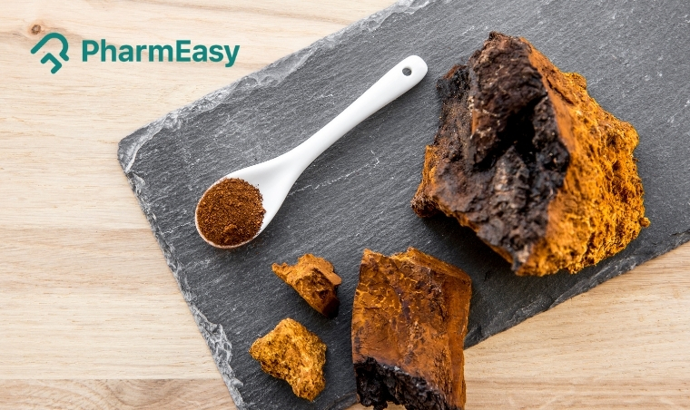 Chaga Benefits: An In-Depth Look at the Mushroom’s Health Potential