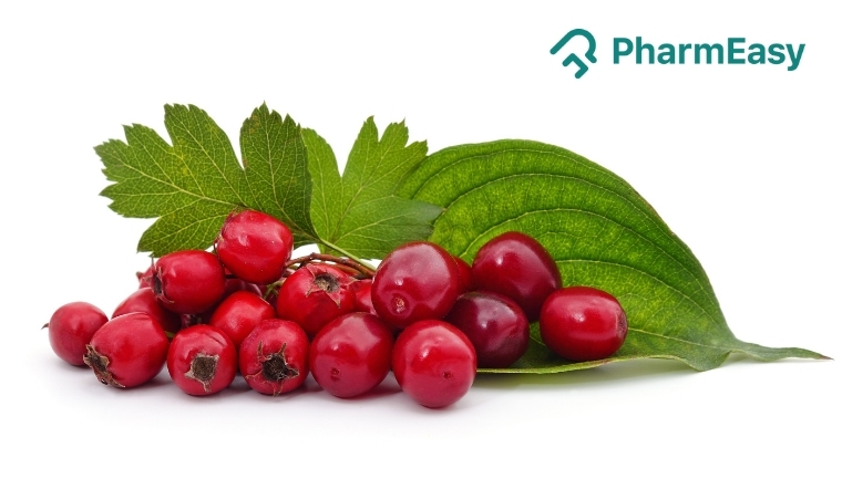 Hawthorn Berry: Benefits, Uses, Side Effects & More 