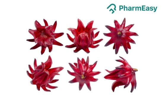 Sorrel Flower: Benefits, Uses, Side Effects & More!