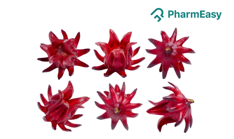 Sorrel Flower: Benefits, Uses, Side Effects & More! 