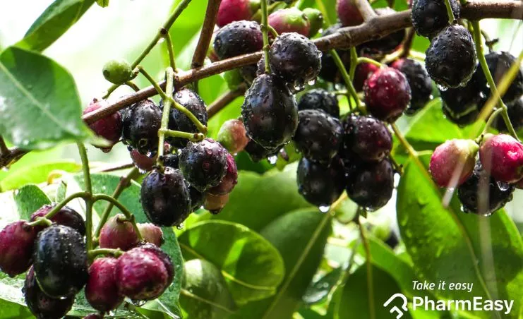 jamun benefits