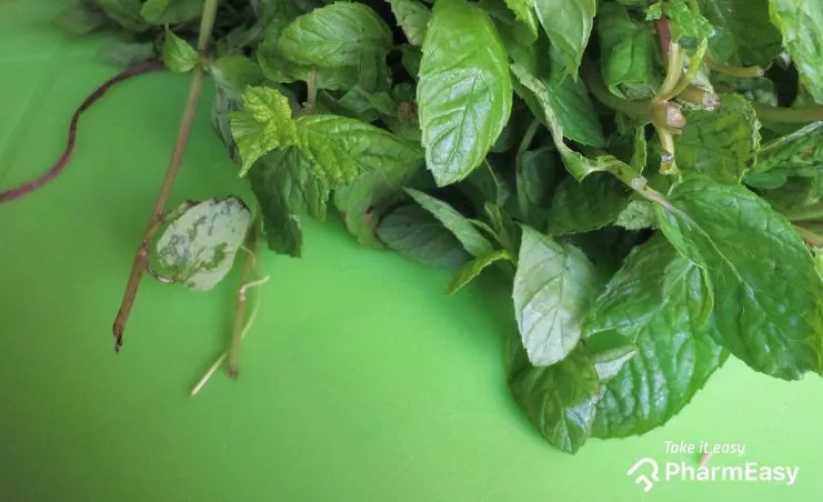 Benefits of Mint Leaves